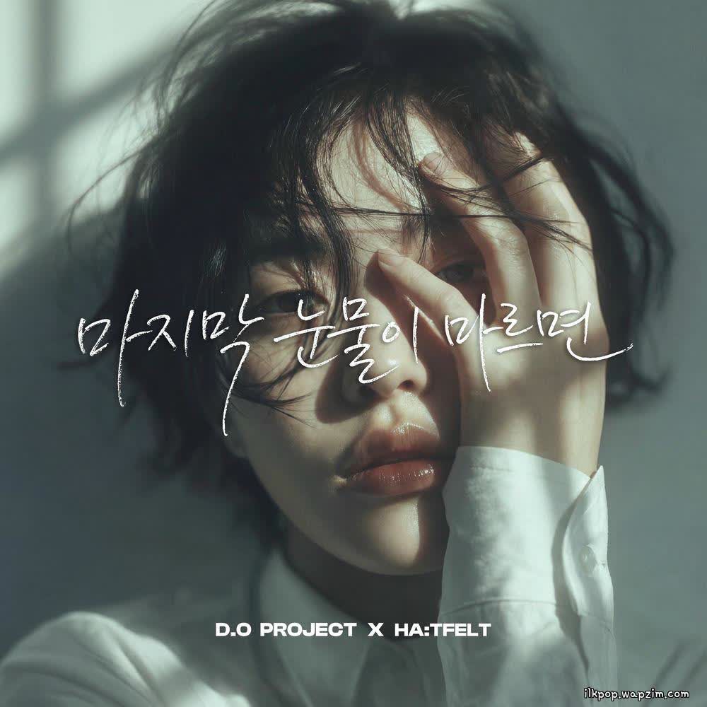 D.O - 마지막 눈물이 마르면 (When the Last Tear Dries) [Feat. HA:TFELT].mp3